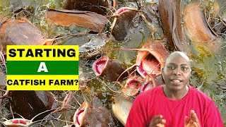 STARTING A CATFISH FARM? Basic Requirements For Fish Farming