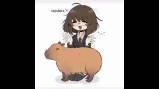 Capybara Coconut Doggy (1 Hour)