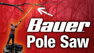 Bauer Pole Saw from Harbor Freight