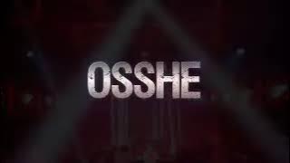 JUNGLE DUTCH BB 2019 || PARTY MAKIN TINGGI || DJ OSSHE