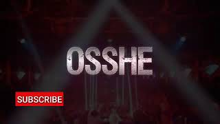 JUNGLE DUTCH BB 2019 || PARTY MAKIN TINGGI || DJ OSSHE