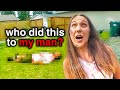 When Abusive Wives Get Caught Red Handed By Cops