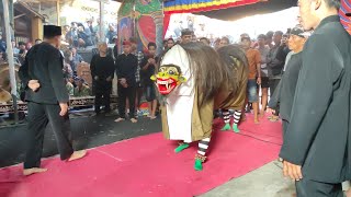 Download lagu Ganas Macan Macanan Barong Tresno Budoyo Kemiren Live delik bunderan