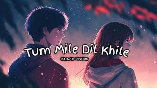 Tum mile Dil khile aur jine ko kya chahiye (SLOWED+REVERB).    LOFI SONG