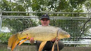 Carp Fishing with a Surpise and Unique Catch!