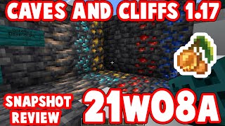 Minecraft Snapshot 21w08a Deepslate + Glow Berries? : 1.17 release