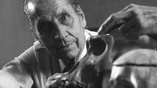 Beyin Kontrolü Deneyi - Jose Delgado