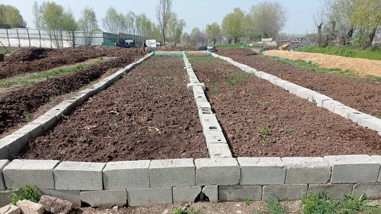 Сөөлжан бакканга жаңы жер кантип даярданат.0550706767