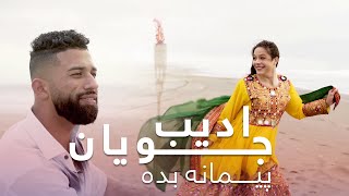 Adeeb Juyan - Paimana Bede ادیب جویان - پیمانه بده