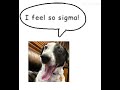 I Feel So Sigma I Feel So Sigma