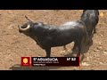 Sorteo toros de Torrestrella en Sevilla, sábado 7 de mayo 2022