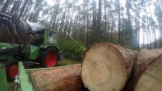 Fendt 200s | Waldarbeit | Holz rücken und laden [onboard] #6