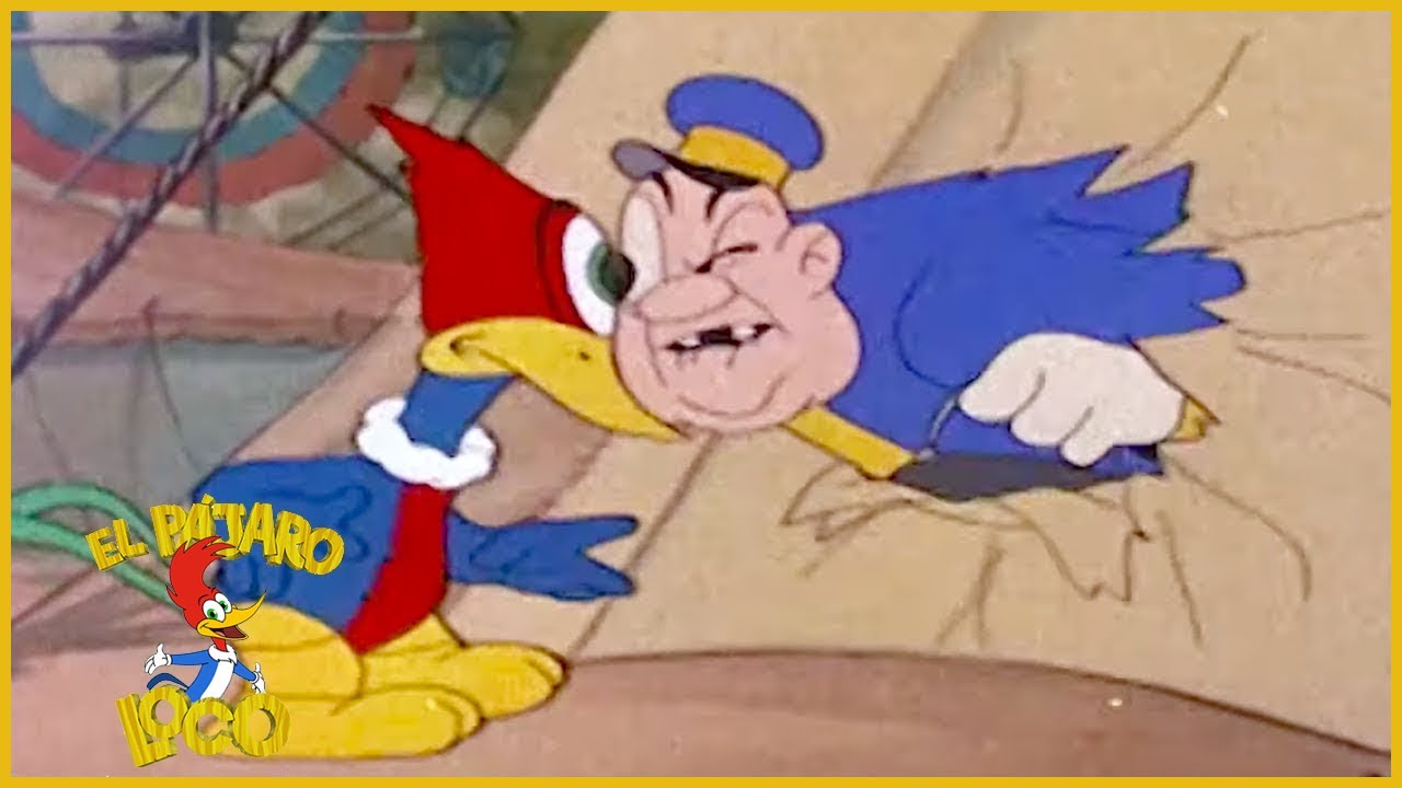 El Pajaro Loco en Español | Un acróbata mareado | Dibujos Antiguos | Caricaturas para Niños caricaturas de los 90