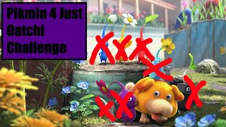 Pikmin 4 JUST OATCHI stream! (Part 3)