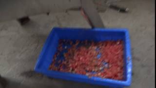 multifunctional CHD100 vegetable dicer