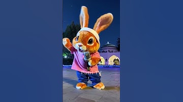 Kelinci takbiran idul fitri 2025 rabbit funny #takbiran #rabbit #kelinci #rabbitlifestyle #idulftri