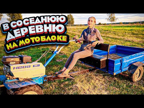 Видео: Уехала в соседнее село… Расскажу все новости! | Молодая Ферма