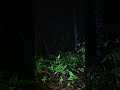 LIVE MISTERI!! DI TEMPAT INI BANYAK SOSOK SILUMAN