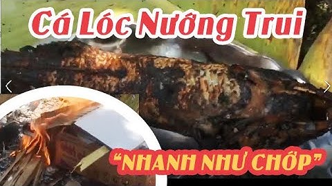 Cách làm Cá Lóc Nướng Trui Nhanh Như Chớp Bằng Vỏ Thùng Mì Tôm  | VỀ THĂM ĐỒNG THÁP