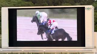 ［現地観戦］2024.5.5（日）盛岡競馬11R 第44回ダイヤモンドカップ