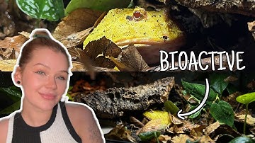 Bioactive PACMAN FROG Enclosure...