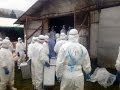اجتماع طارئ للحكومة اليابانية للتشاور في سبل منع انتشار إنفلونزا الطيور  - أخبار الآن
