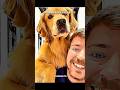 Normal with Their pet vs King pet.#youtubeshorts #pets #trending