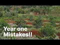 7 Mistakes Coffee Farmers Make in Year One (Avoid These!)