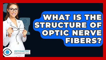 What Is The Structure Of Optic Nerve Fibers? - Optometry Knowledge Base