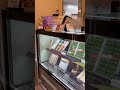 和歌山県世界遺産高野山に行ったら是非お立ち寄りください！柿の葉寿司弁慶さんへ　旅行アナリストより！#️⃣こやさんテレビ　#️⃣旅行アナリスト　#️⃣和歌山県かつらぎ町　#️⃣柿の生産日本一