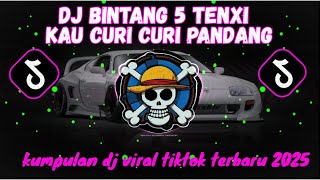 KUMPULAN DJ VIRAL TIKTOK TERBARU 2025 || DJ BINTANG 5 TENXI DJ KAU CURI CURI PANDANG🎵