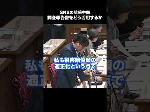 誹謗中傷の慰謝料、裁判所にも変化を求める#Shorts #名誉毀損 #国会質疑 国会質疑