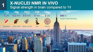 ISMRM MR Academy - Basic Principles for Imaging Non-Proton Nuclei