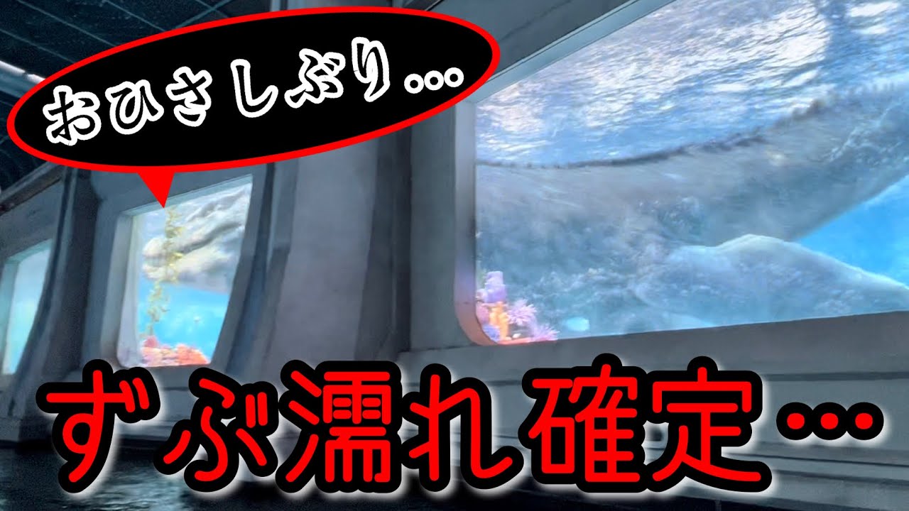 USH Front Seat POV】ジュラシック・ワールド・ザ・ライドの最前列