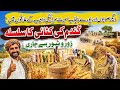 Wheat Harvest Season in Saraiki Region | Farmers Hope for Better Yield Despite Climate Change