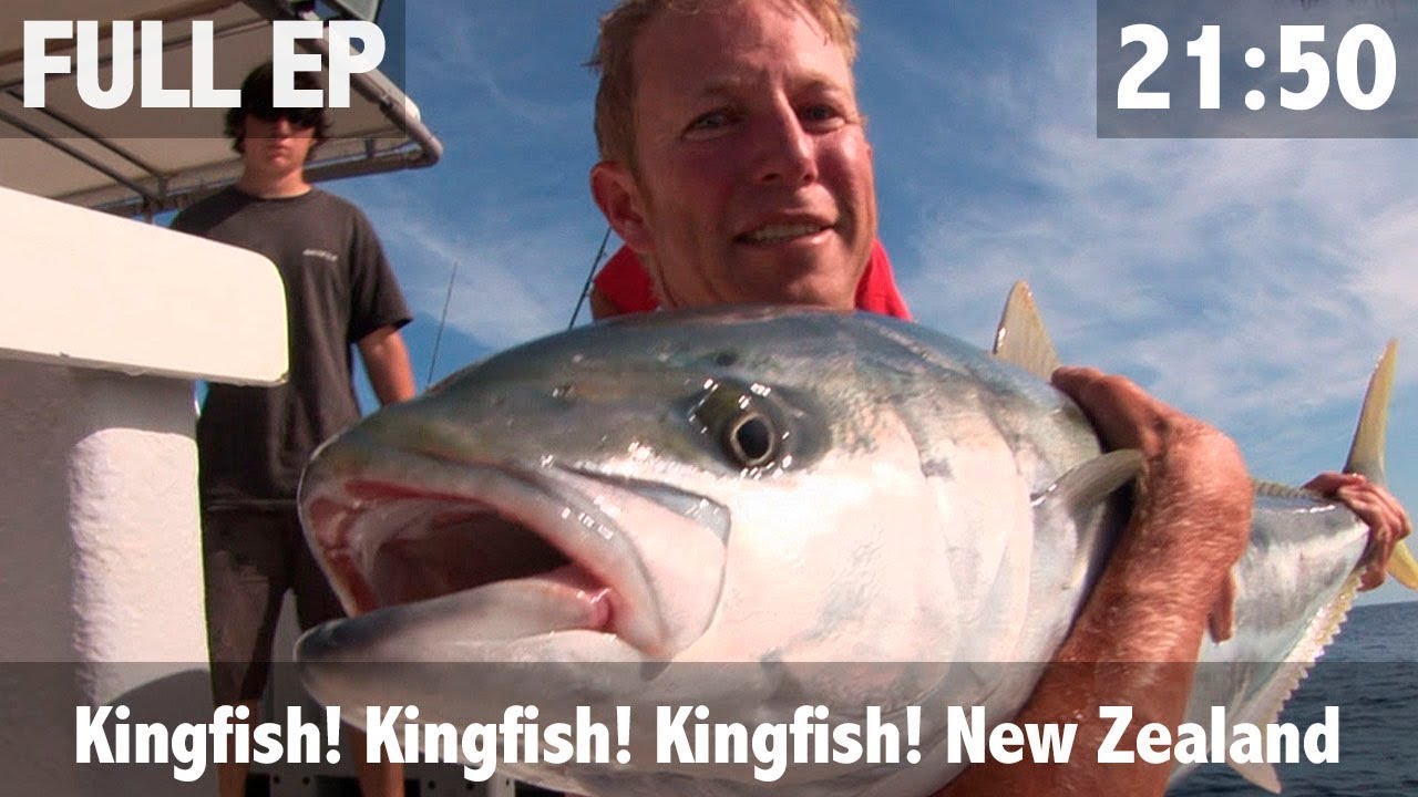 Kingfish Kingfish Kingfish - YouTube