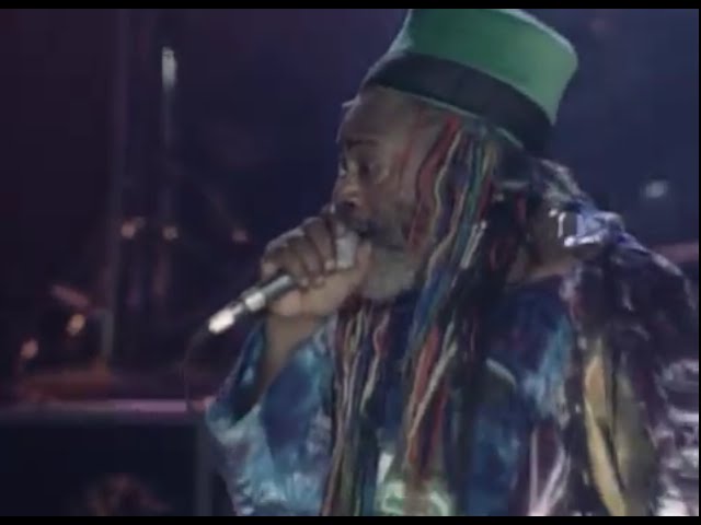 George Clinton & the P-Funk All-Stars - Maggot Brain - Woodstock 99 (Official)