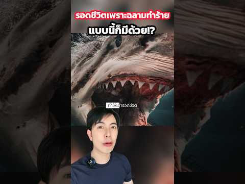 วีดีโอ: ข้อต่อฉลามกัดมีอายุการใช้งานหรือไม่?