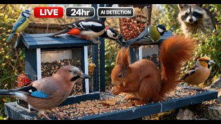 🔴 Live Bird Feeder Cam 24/7 | AI Bird ID | Germany