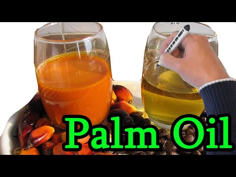 Video: Zijn palmolie en palmvet hetzelfde?