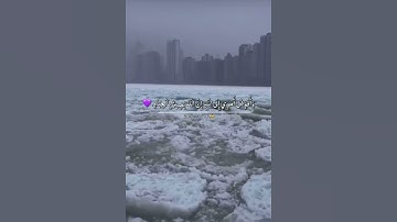 ( وأفوض أمري الى الله) مشاري العفاسي ||حالات وتس اب قران كريم. ✨♥️
