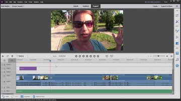 Basic Training for Premiere Elements 2019, part 7 of 8