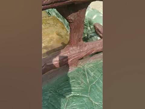 я ездил в ташкала парк в чеченской Республики - YouTube