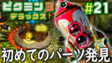 だいだらピクミン事故