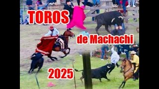 Toros Bravos Solo Sustos Y Cogidas De Machachi 2025