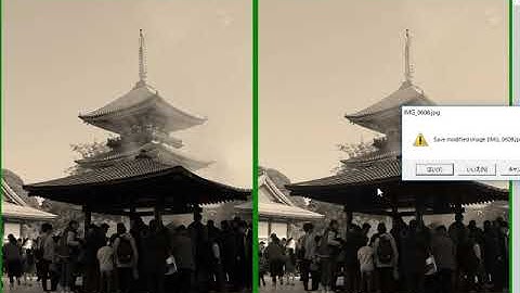 StereoPhoto Maker Ver5.28