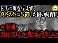 ずさんな管理体制が問題視されていた動物園が、空腹の虎を真冬の外に放置。翌日、飼育員3人がトラに襲われ…「那須サファリパーク・トラ襲撃事故」