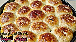 بريوش الشهدة هشيش و خفيف بحال القطن عمرو اخطاكم.