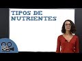 La Alimentación Balanceada - Barney El Camion - YouTube