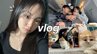 morando sozinha na coreia: date, uni vlog, reunited w/ bestie, café de gatos, gyeongju world :)